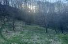 Teren de 2800 mp, în Văleni-Dâmbovița - 7