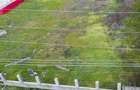 Teren intravilan in Peregu Mic - 6