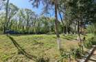 Apartament 2 camere Neptun - 5