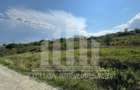 Teren intravilan | 4665 mp | 35 ml deschidere | Cetate - zona Schit