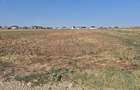 Teren intravilan 5.000 mp in Caracal acces din doua strazi utilita?i - 3