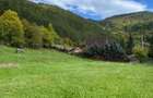Terenuri intravilane de vanzare Lepsa, Vrancea - 1