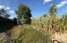 Teren intravilan Voitinel | 6.355 mp