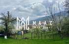 Teren Intravilan | 855 MP | Sali?te - 8