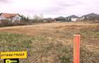 Teren intravilan, 800 mp, zona rezidentiala , pe drumul catre Paleu - 5