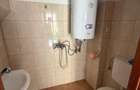 Casa pe un singur nivel+2974mp teren in Aciliu - 1