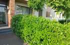 Inchiriez apartament 2 camere decomandat in Oradea Prima Universitatii - 2