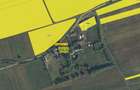 Teren agricol de vanzare, 9000 mp - 1