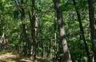 Domeniu forestier 50 ha | Privelisti spectaculoase | La 1 ora de Bucuresti | Investitie unica - 7