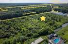 Teren 5.515 mp lângă Lidl Snagov – Ieșire la Lacul Snagov - 2