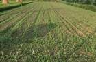 Teren intravilan, 1250 mp intabulat, loc. Braiesti, str. Principala - 2