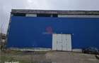 Vanzare spatiu industrialhaladepozit Giurgiu - Port, Giurgiu - 7