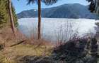Teren cu IESIRE LA LAC Colibita 12 arii - 1