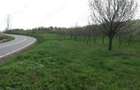 Teren extravilan, 9104mp, zona Cozia-Ia?i - 3