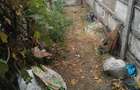 Rate vand Casa Severin i - 8