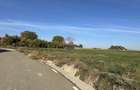 Teren 1,122mp Stefan Cel Mare Ghigoiesti / Strada Cameliei