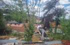 Casa Verde cu panorama e de vanzare! - 4
