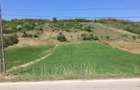 De vanzare teren cu autorizatie de construire pentru pensiune clisura Dunarii - 3