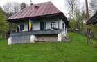 2 camere, 4000 mp,langa lacul Vidraru - 10