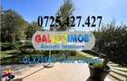 Corbeanca, vanzare vila la lac - 19