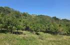 Teren intravilan de vanzare Cacova Ierii, judetul Cluj - 7
