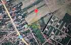 TEREN INTRAVILAN IN LILIECI, BACAU