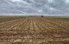 Teren extravilan 2500 mp,cu acces la Centura ,Radauti - 7