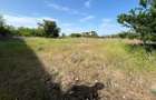 Teren intravilan 13.000 mp, ideal hale - investitie comerciala, zona B