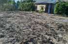 Cabana cu teren 1250m2 - 3