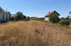 Teren Intravilan, Zona Viile Satu Mare - 4