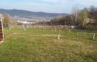 Teren de 800 mp, în Dealul Malului - 3