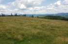 Vand 16 hectare de pasune - 7