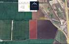 Teren Intravilan | Tunari 8,16 Ha | Nod A0-A3 | Terminal 2 Otopeni - 1