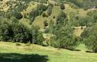 De vanzare 1000mp sat Pestera , comuna Moieciu