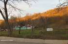 Teren de 5000 mp, în Ghercești - 8