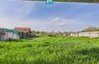 Casa renovata 4 camere si 1452 mp teren in Batania - 2
