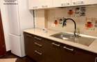 Apartament 2 camere,etaj 1,mobilat si utilat,ultracentral,P-ta M. Kogalniceanu - 9