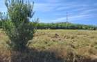 Proprietar Vand teren intravilan, 975 mp, Str. Pietrelor, Piatra Neamt - 5