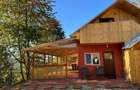 Cabana de vanzare + Teren 4000 mp | Potential excelent Pensiune la Muntele Rece, Cluj