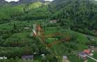 Teren intravilan 5.261 mp Tohanita | Deschidere 49 m | Utilitati, lang