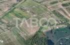 Teren de vanzare 17.000 mp in vecinatatea padurii Dumbrava - 2