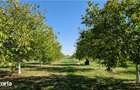 Vanzare teren 9654 mp, deschidere 27mp, comuna Dobra, sat Dobra - 1