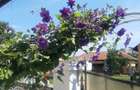 Vand casa in Bretea Mure?ana