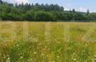 Teren 10.000 mp, intravilan, zona Neagra Sarului