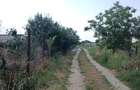 Teren intravilan-500mp-Draganescu, Giurgiu-23m deschidere-19000 euro - 4
