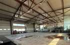 Spatii de inchiriat- hala, birouri si platforma betonata - 5