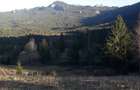 Teren in jude?ul Suceava, comuna Pojorata zona Valea Strajerilor - 3