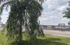 3 camere premium cu vedere spre parc | complex privat - 5