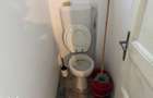Vanzare apartament patru camere vila D+P+1+pod curte Cotroceni Eroilor - 4