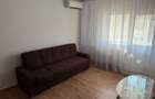 [Chirie] Apartament 2 camere - Timisoara, zona Lugojului - 8